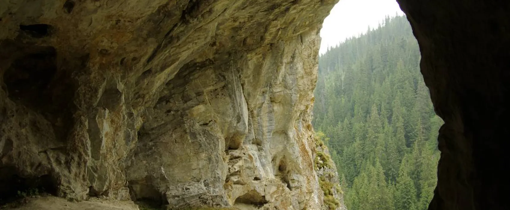 Pensiune camping laura borsa