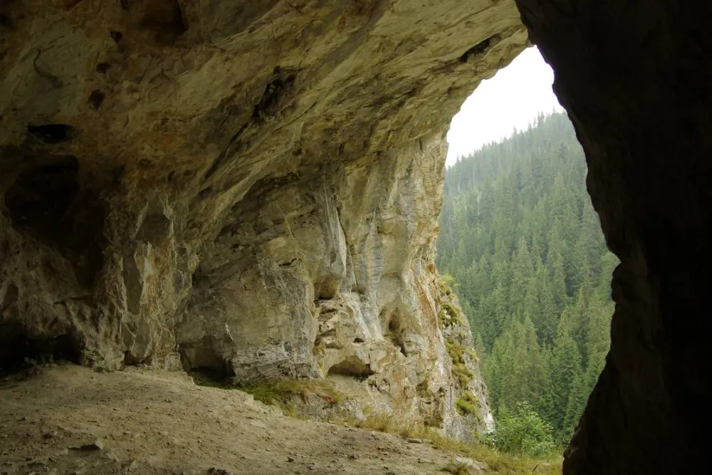 Pensiune camping laura borsa