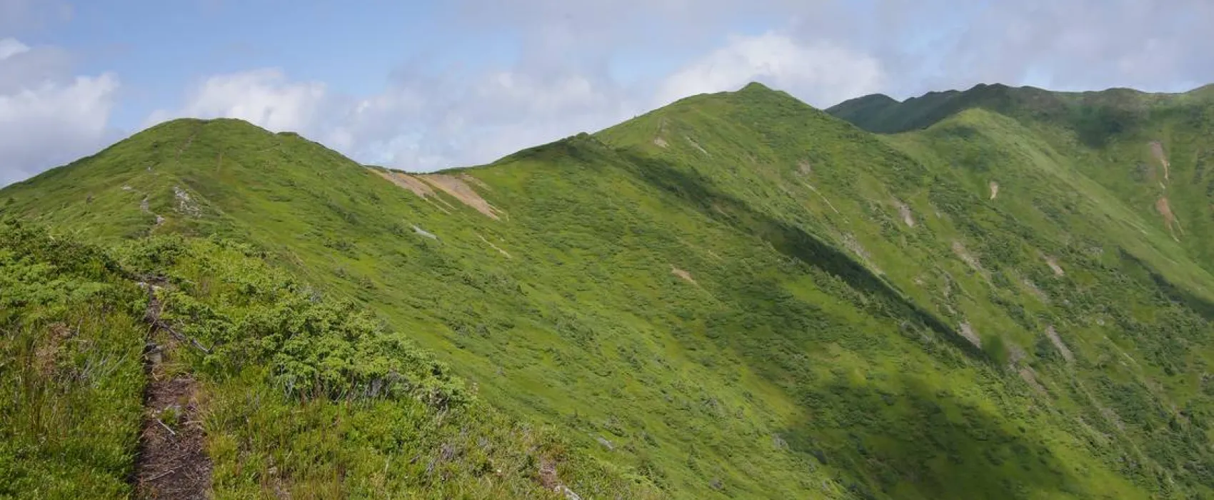 Pensiune camping laura borsa