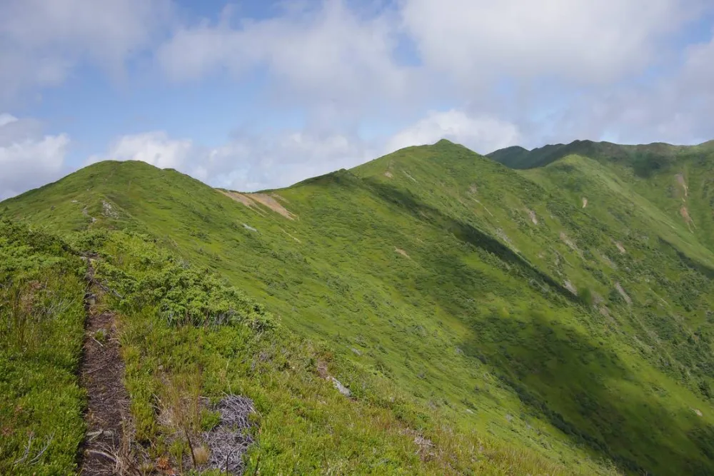 Pensiune camping laura borsa