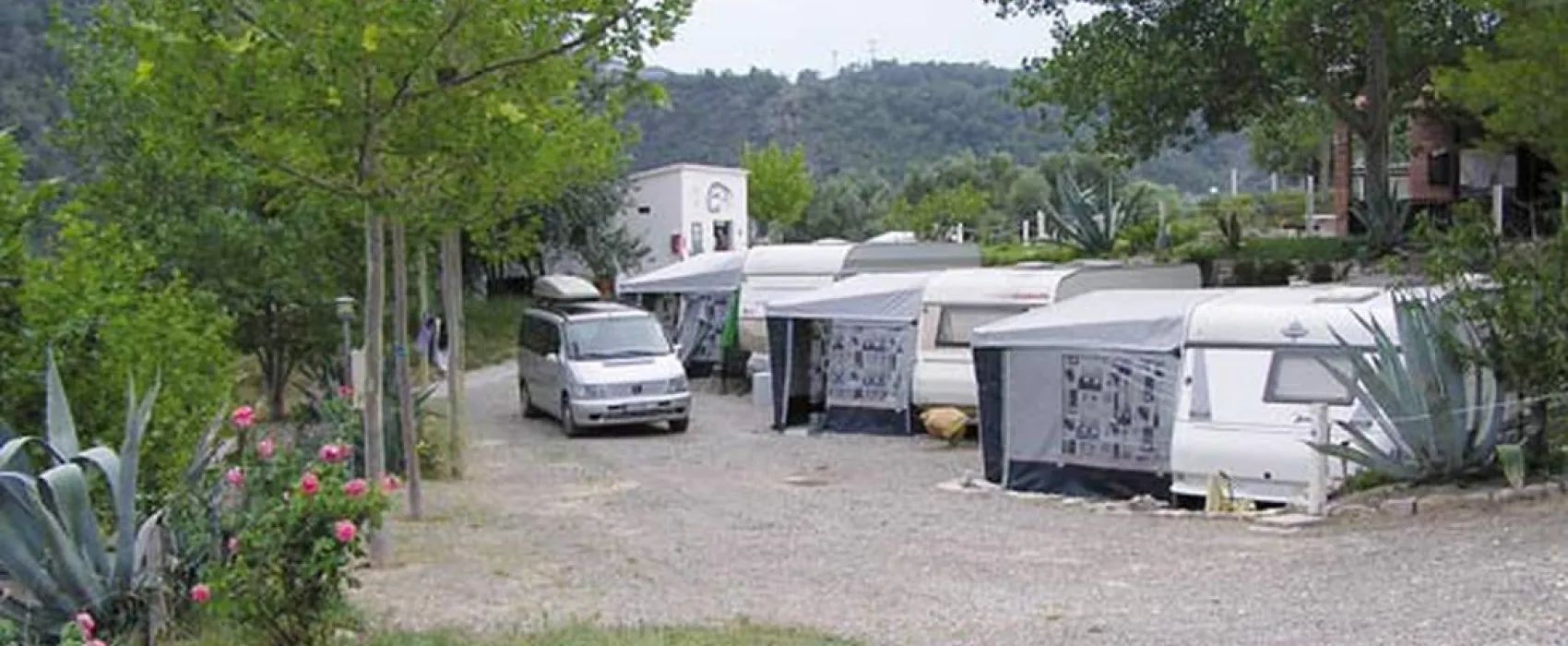 Wels-Camp Matarraña