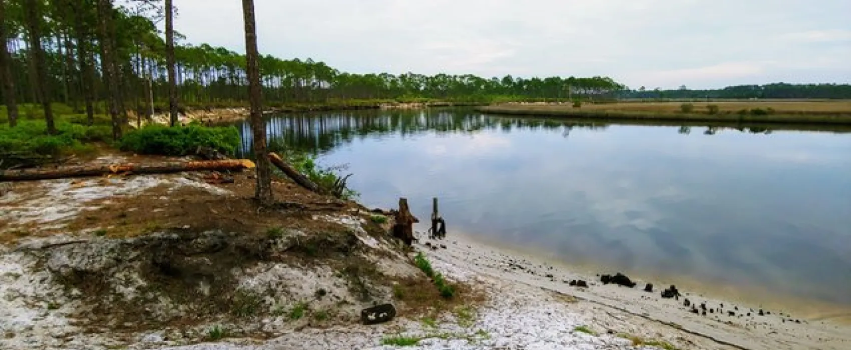 Warren Bluff Campsite #48