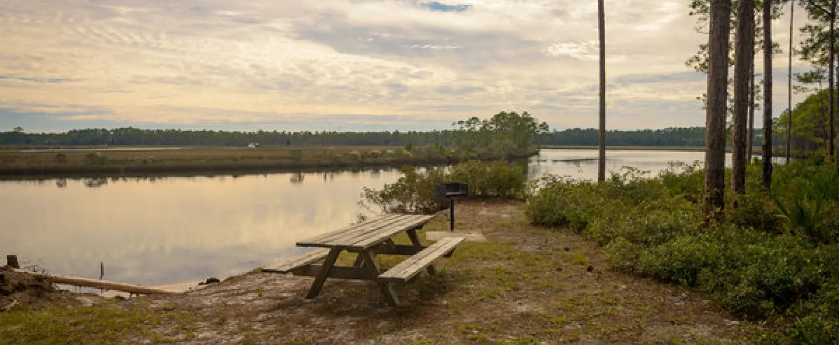 Warren Bluff Campsite #48