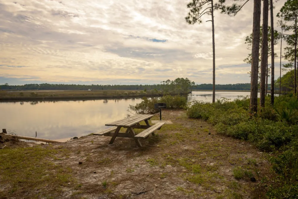 Warren Bluff Campsite #48