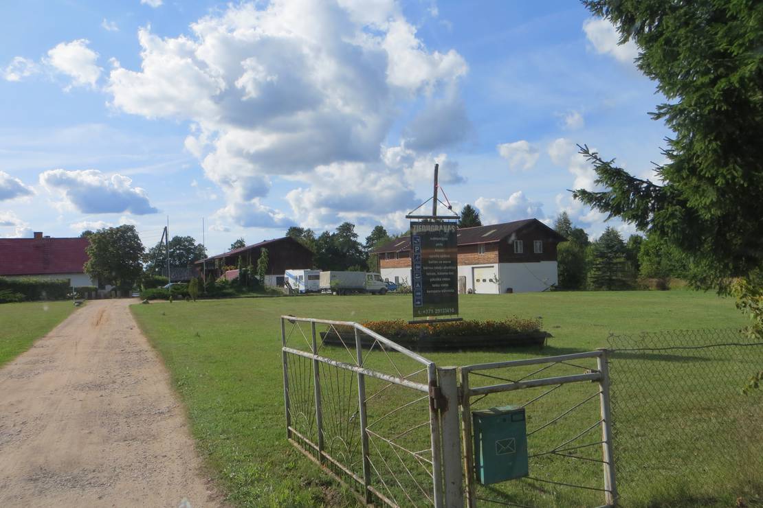 Ziedugravas photo 2