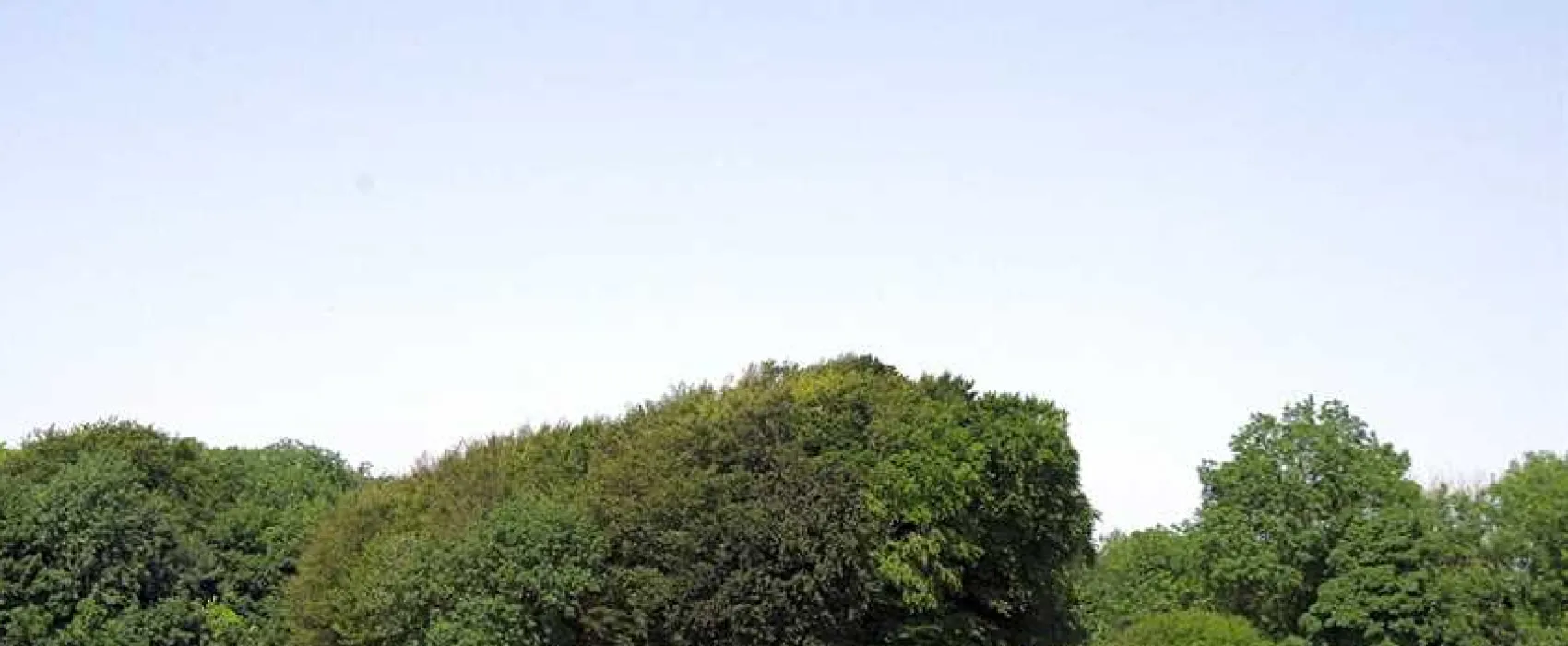 Donkey Down Camping at Culliford Tree