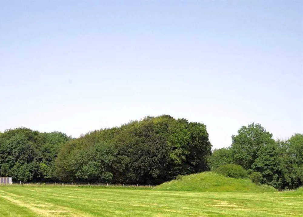 Donkey Down Camping at Culliford Tree
