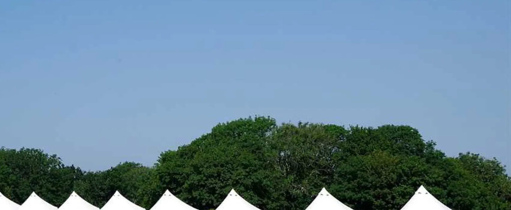 Donkey Down Camping at Culliford Tree