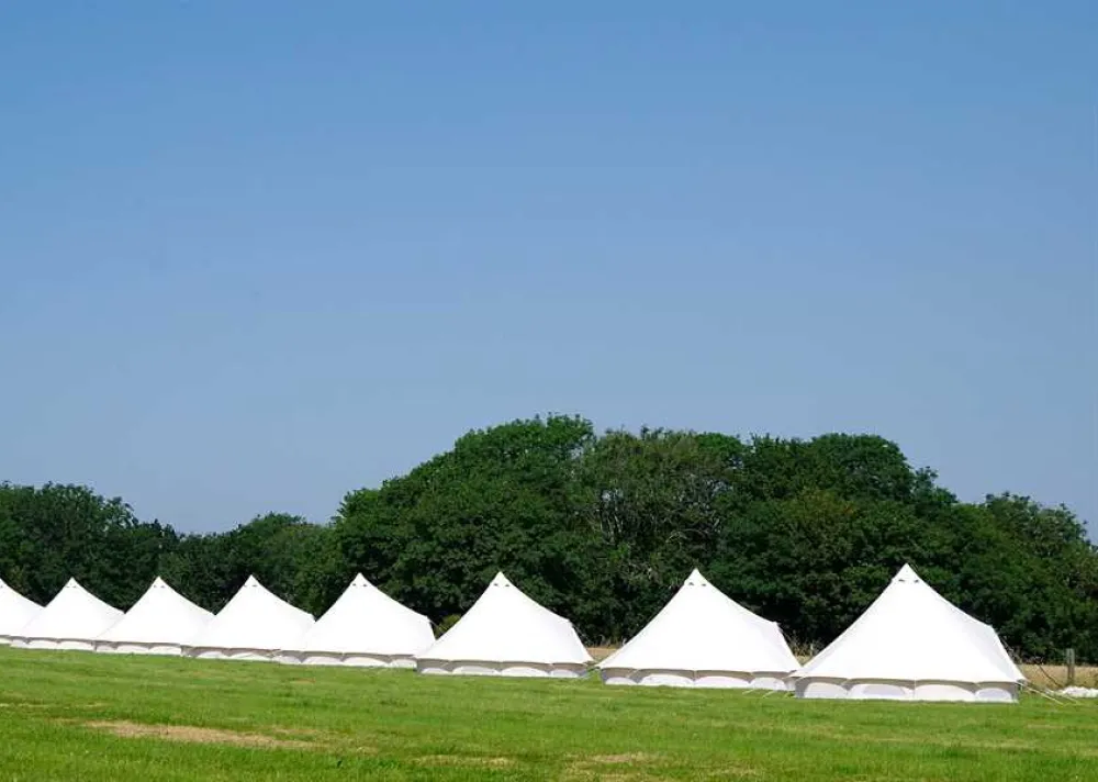 Donkey Down Camping at Culliford Tree