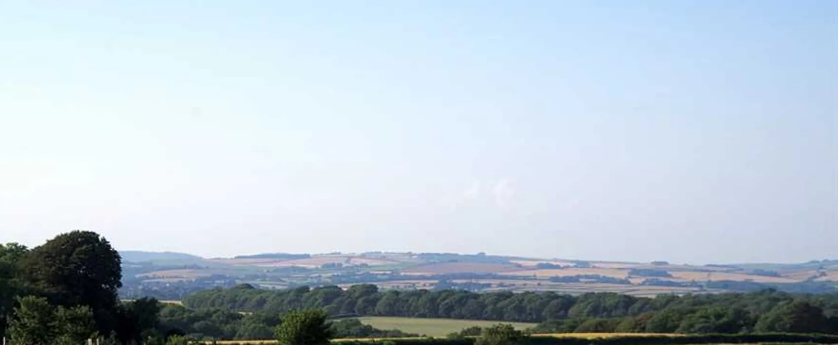 Donkey Down Camping at Culliford Tree