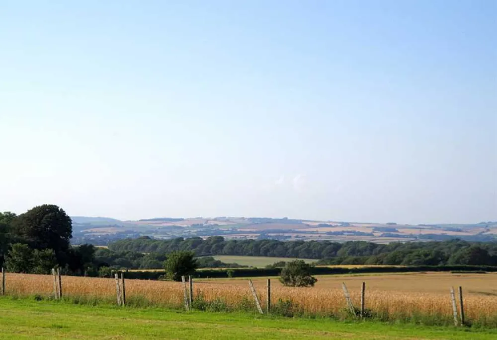 Donkey Down Camping at Culliford Tree