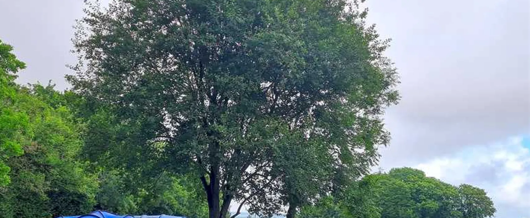 Donkey Down Camping at Culliford Tree