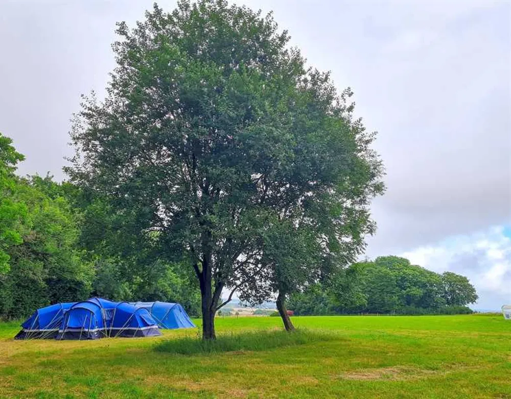 Donkey Down Camping at Culliford Tree