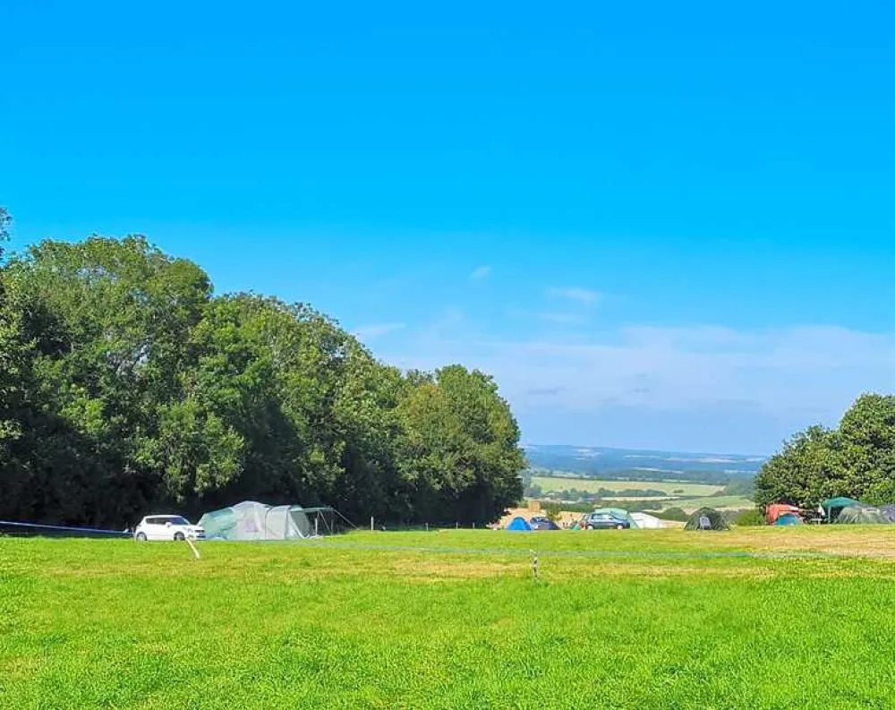Donkey Down Camping at Culliford Tree