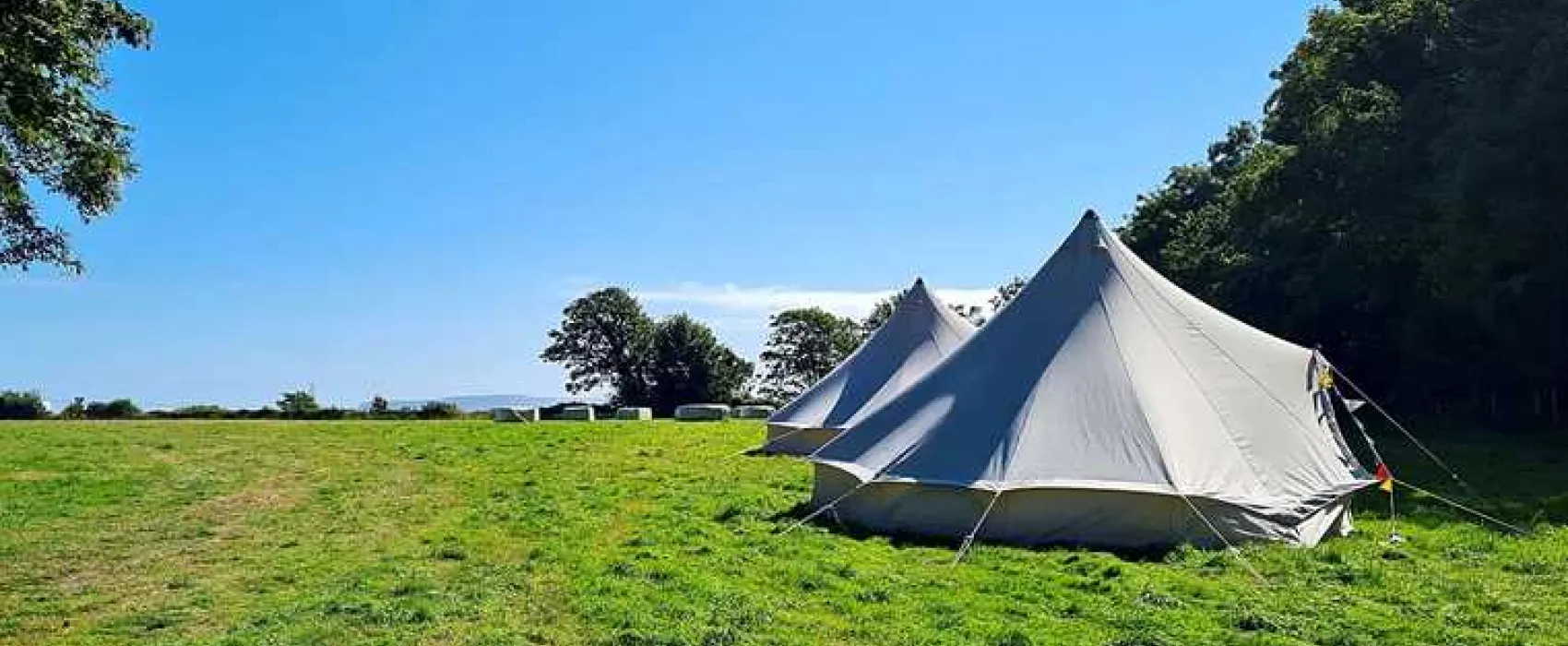 Donkey Down Camping at Culliford Tree