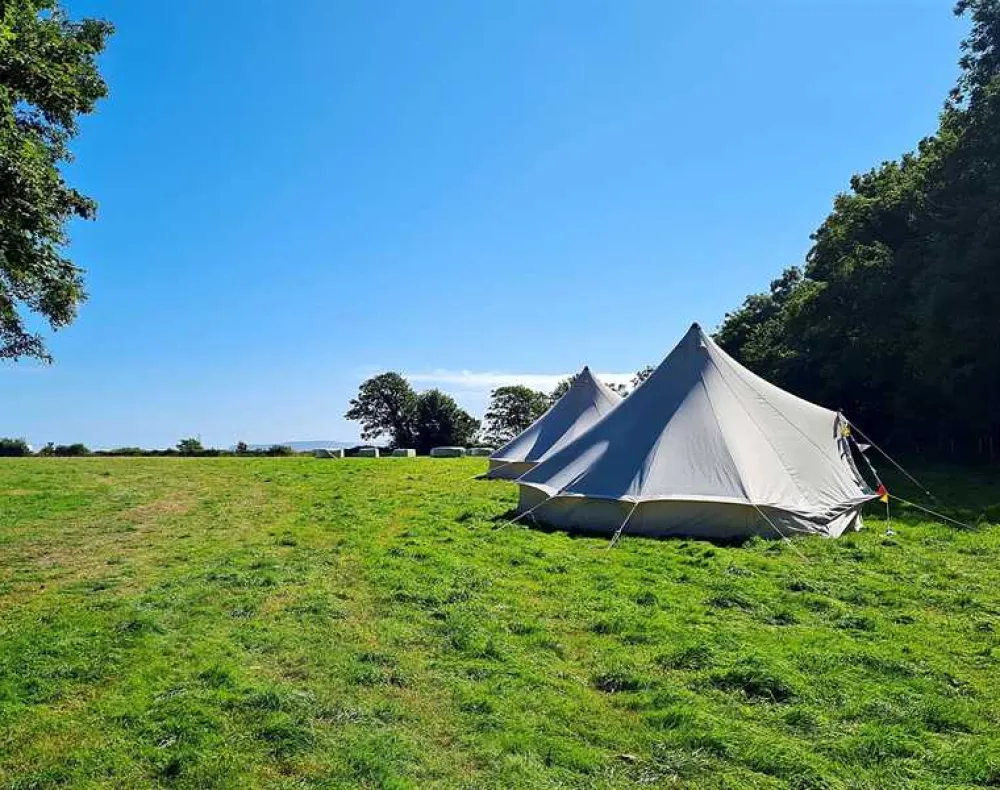 Donkey Down Camping at Culliford Tree