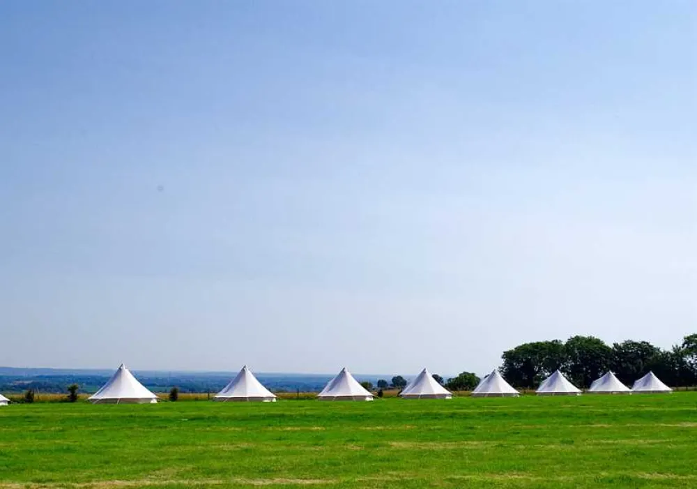 Donkey Down Camping at Culliford Tree