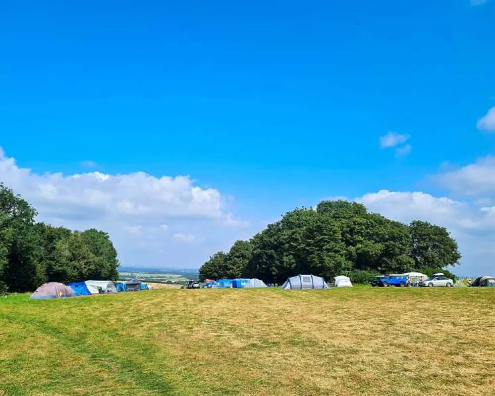 Donkey Down Camping at Culliford Tree