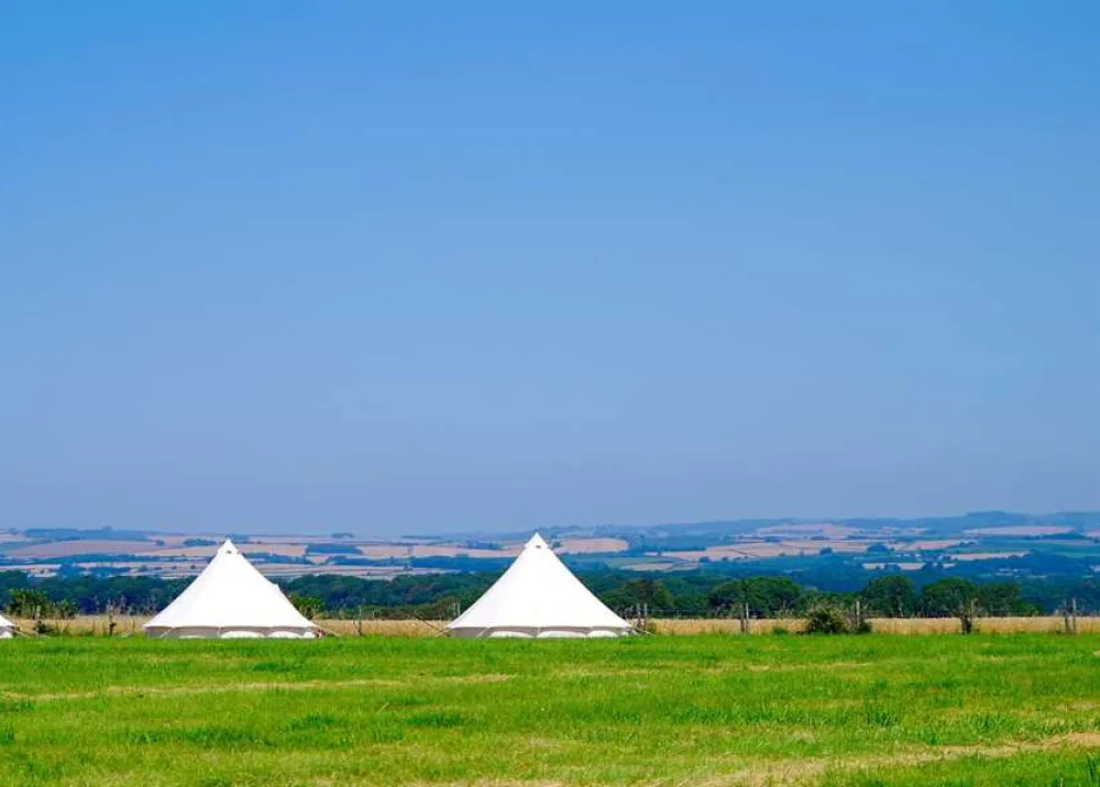 Donkey Down Camping at Culliford Tree