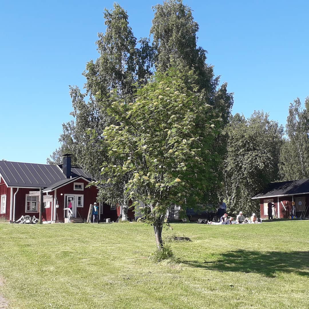 Herajärven Retkeilykeskus photo 4