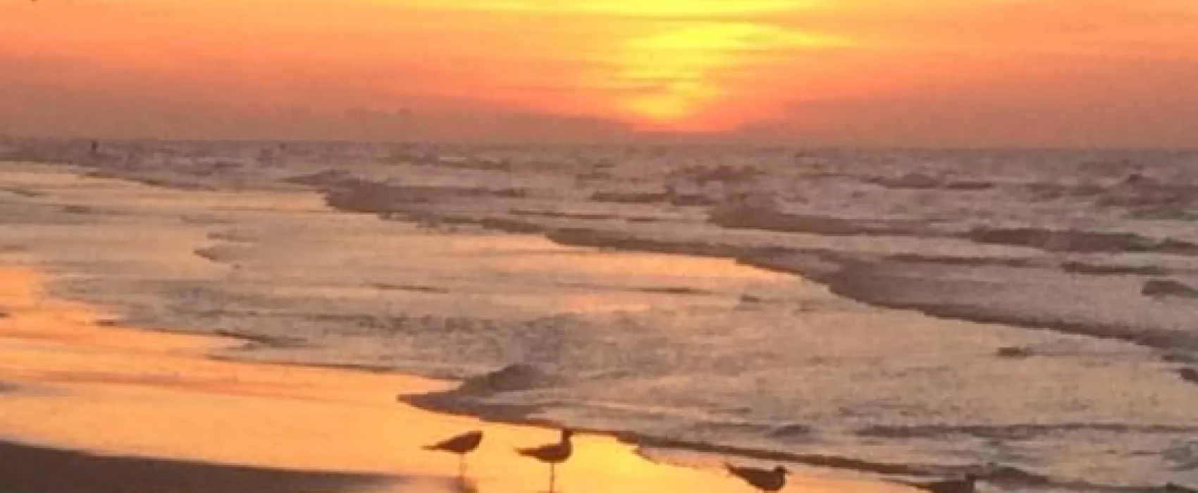 Galveston Island RV Resort