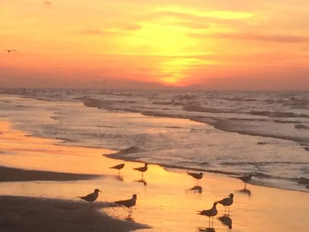 Galveston Island RV Resort