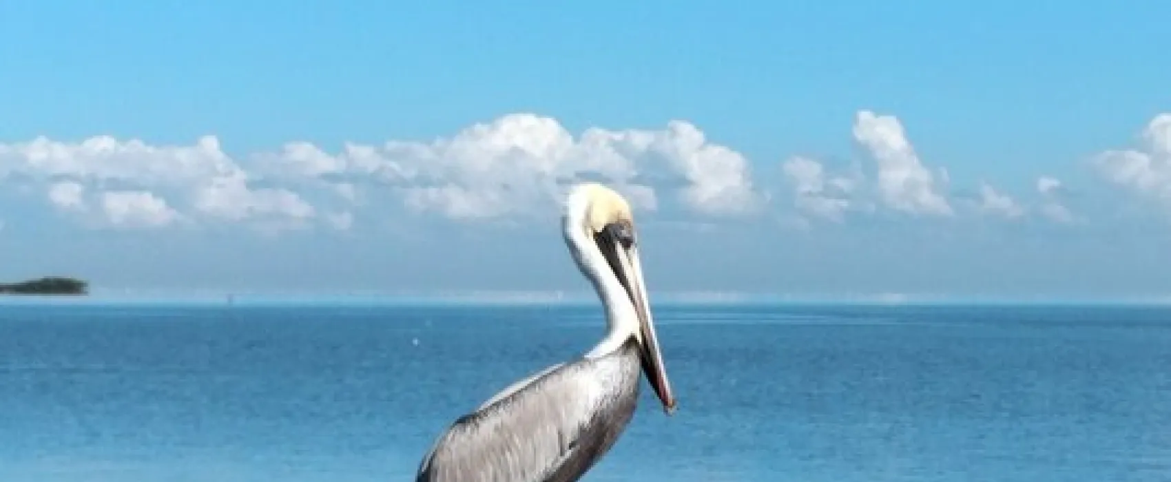 Angler's RV Campground