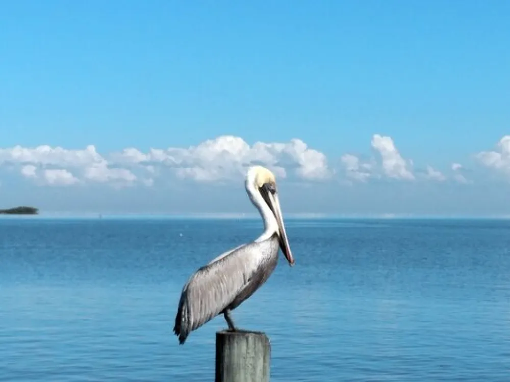 Angler's RV Campground