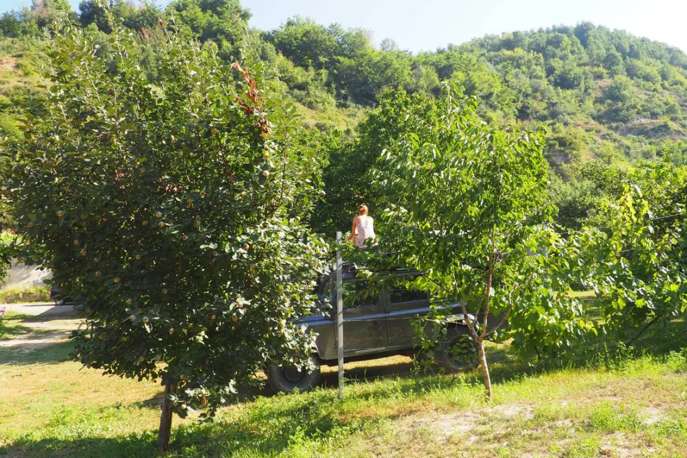 Camping Kapxhiu