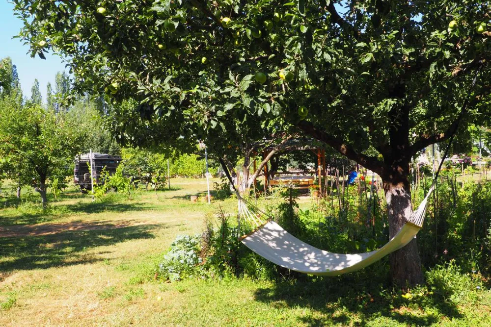 Camping Kapxhiu