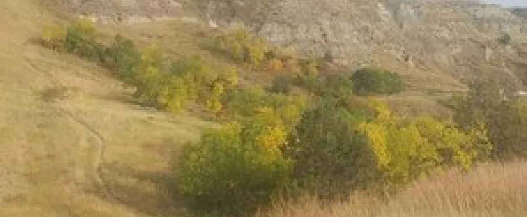 Eastview Campground & Badlands Trailrides