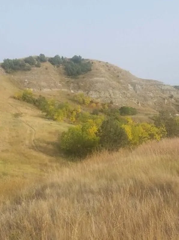 Eastview Campground & Badlands Trailrides