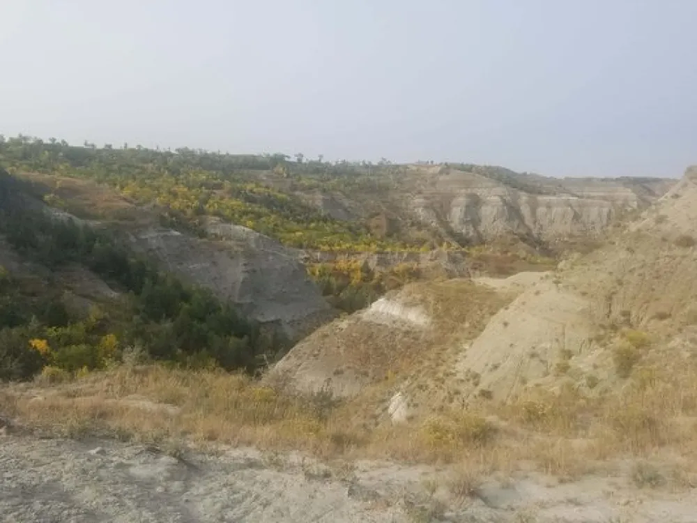 Eastview Campground & Badlands Trailrides