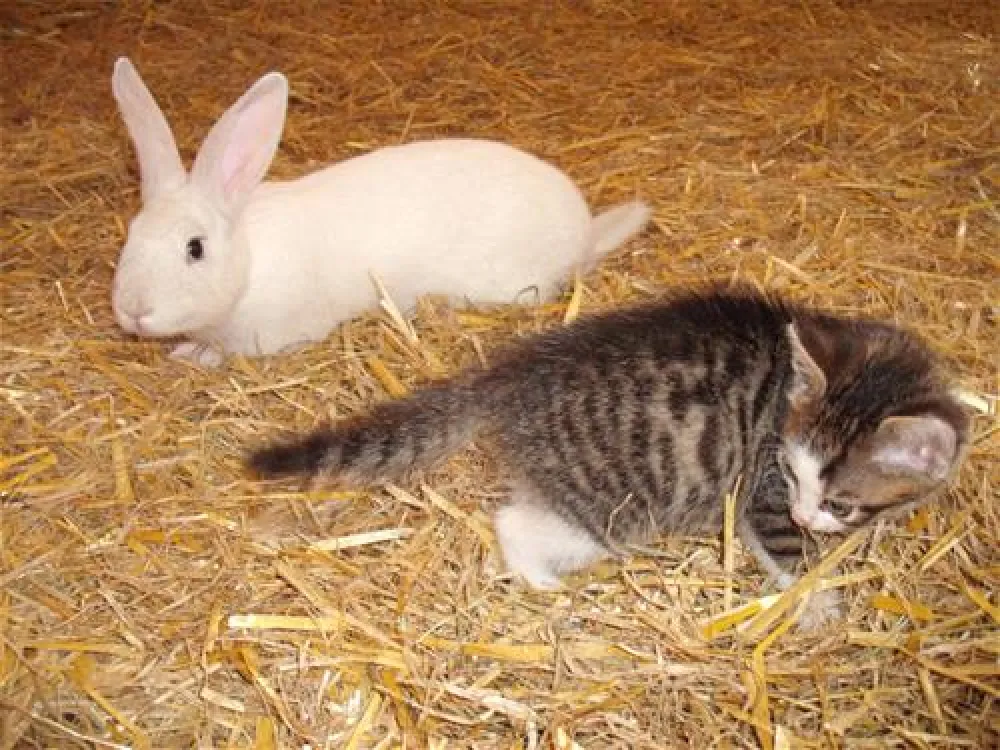 Campingplatz Schwarzfelder Hof