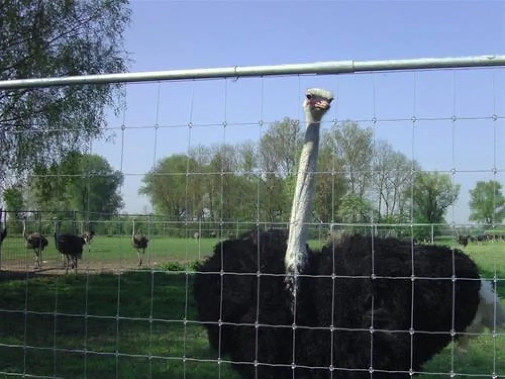 Campingplatz Schwarzfelder Hof