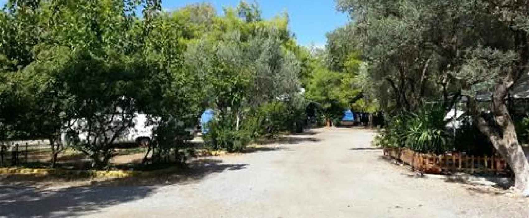 Camping Zaritsi