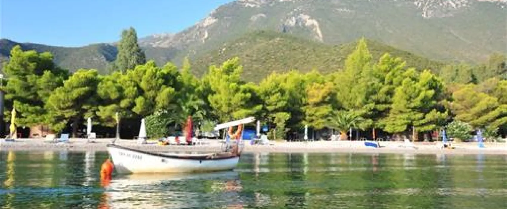 Camping Zaritsi