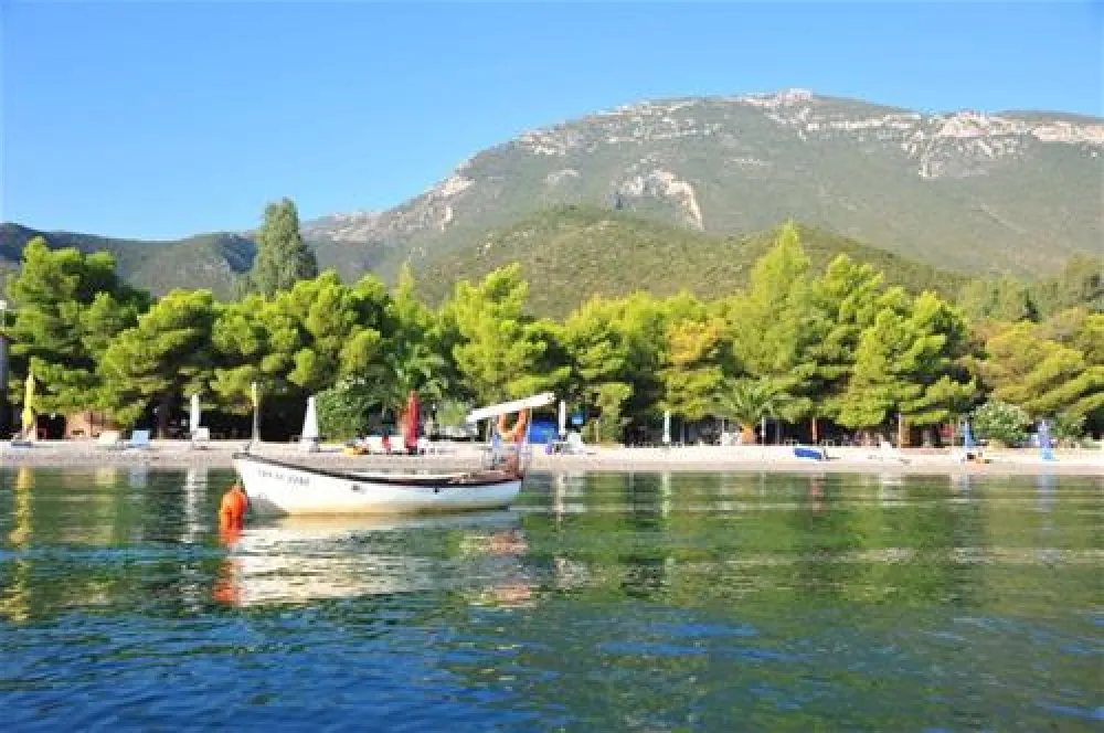 Camping Zaritsi