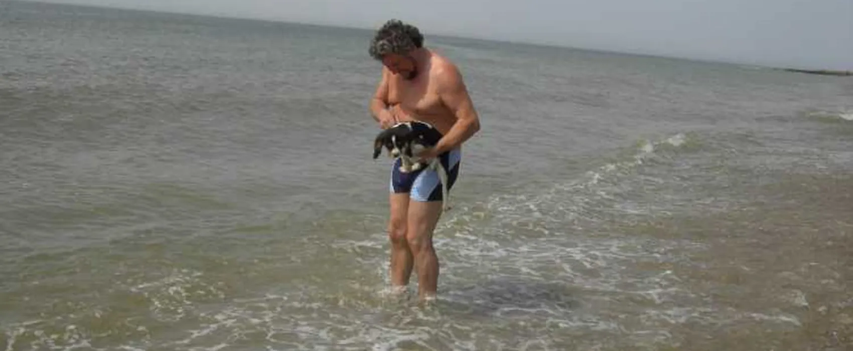 Camping Municipal Les Ajoncs