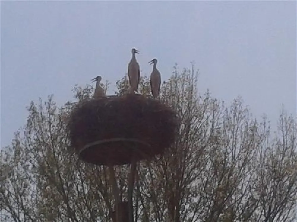 Campinginsel Havelberg