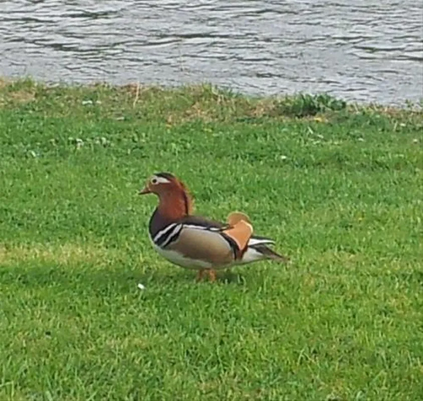 Campingpark Sonneneck