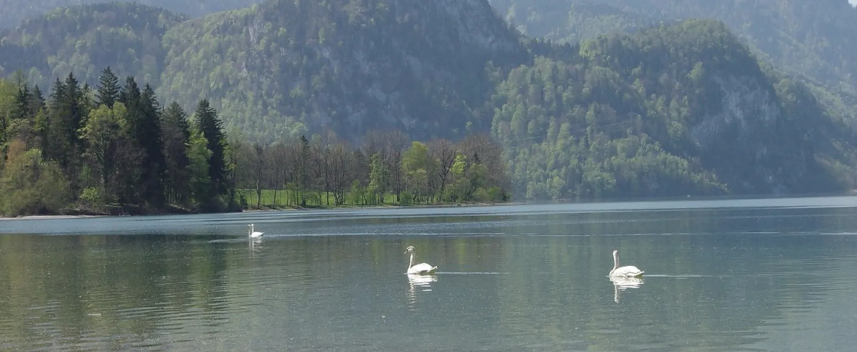 Campingplatz Renken am Kochelsee
