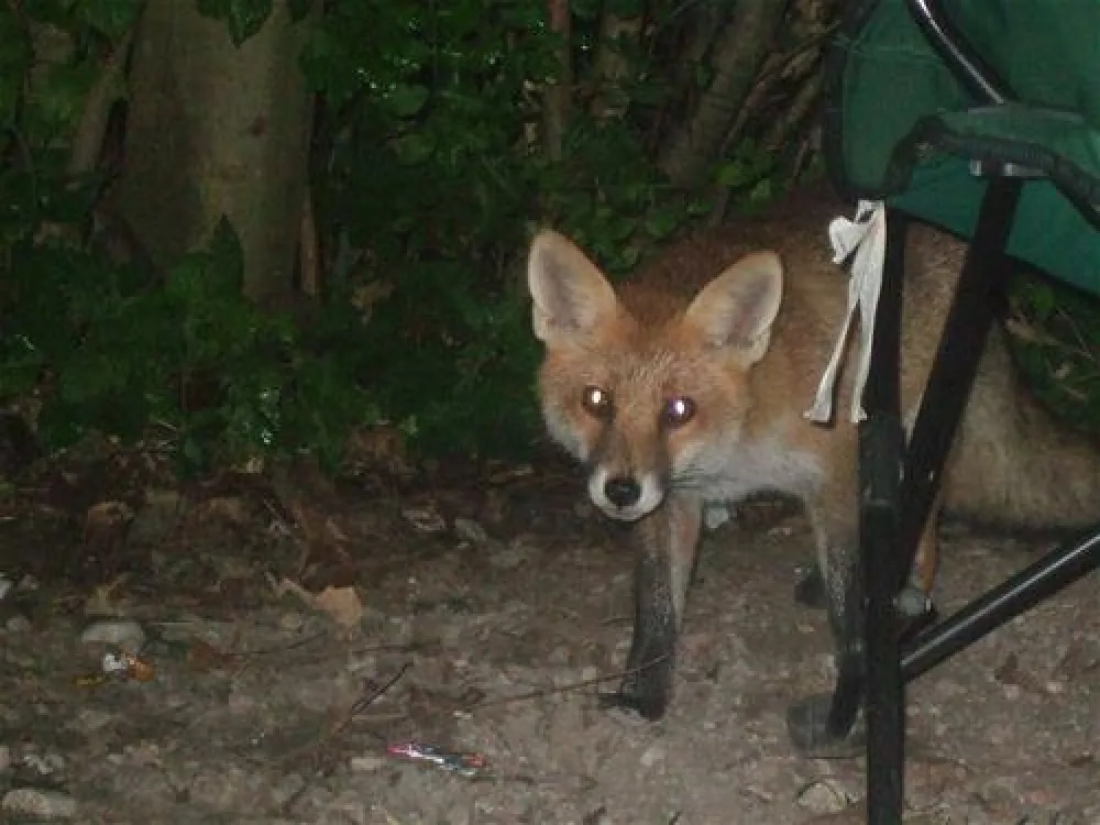 Campingplatz Renken am Kochelsee