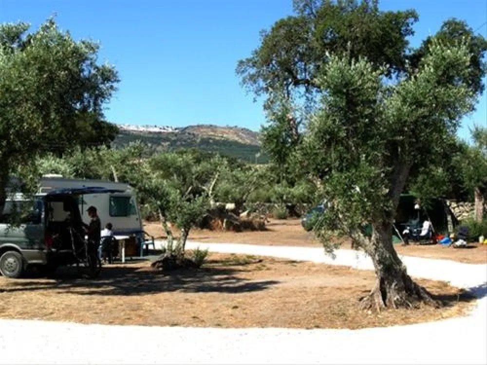Camping Asseiceira