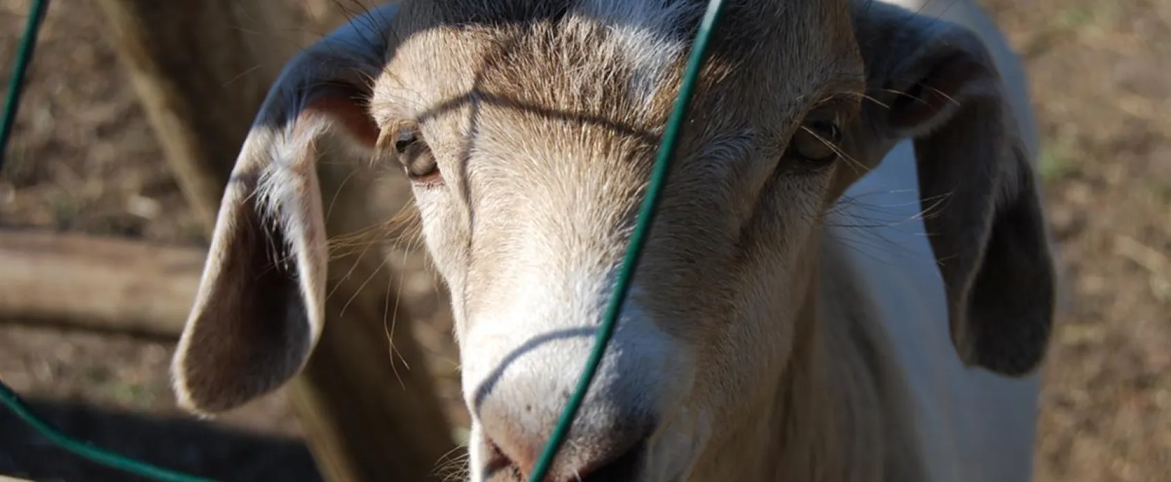 Svendborg Sund Camping