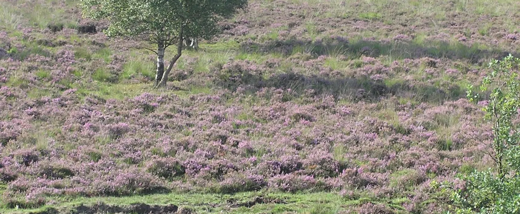 Naturistencamping Panta Rhei