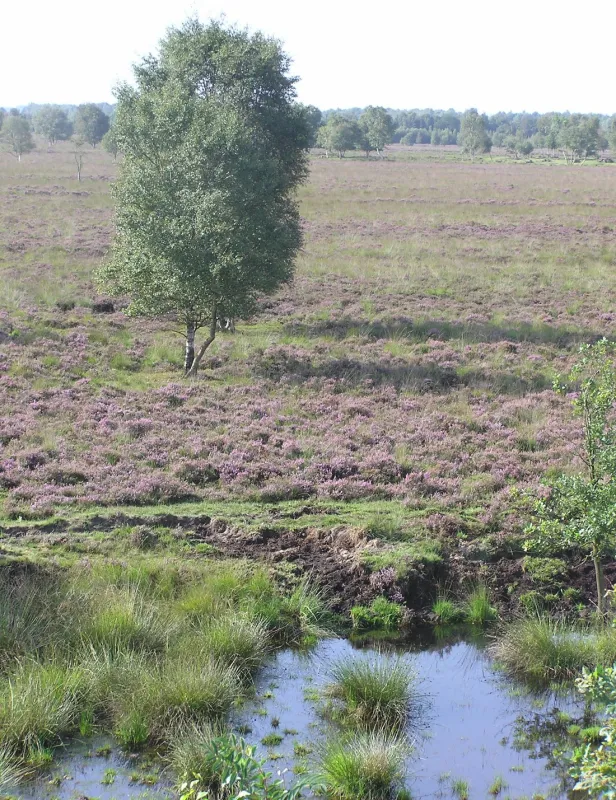 Naturistencamping Panta Rhei