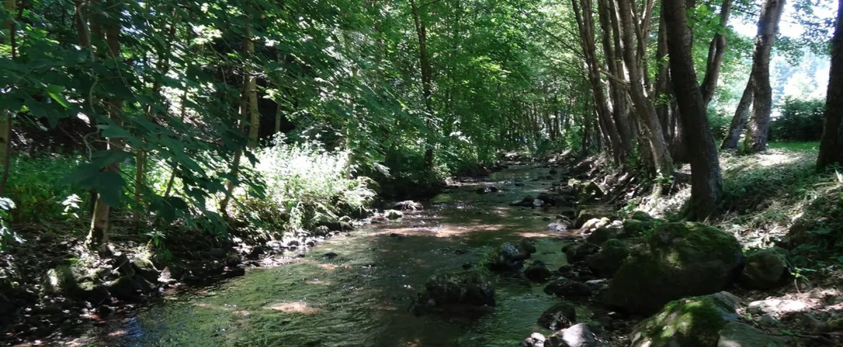 Waldcampingplatz Meyersgrund