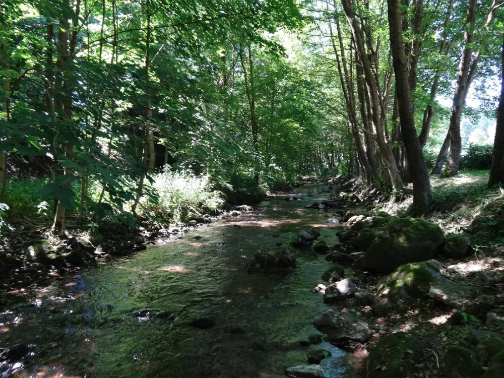 Waldcampingplatz Meyersgrund