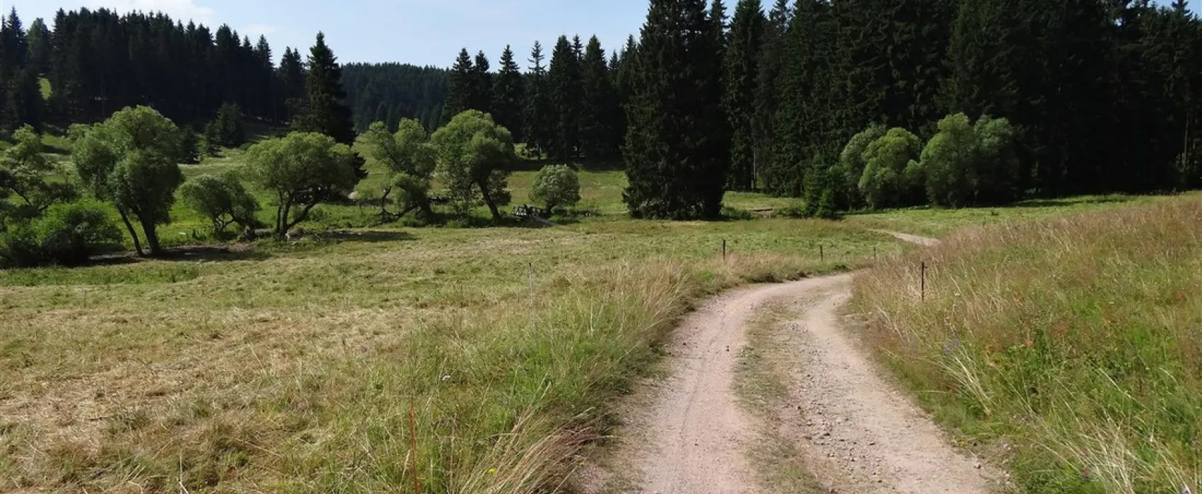 Waldcampingplatz Meyersgrund